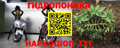 метадон Кимры