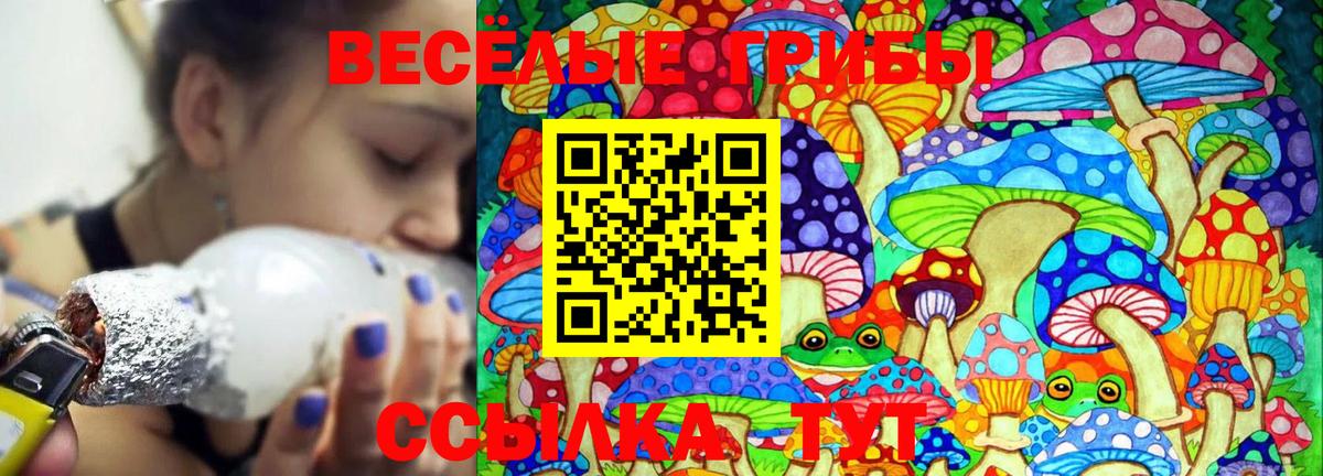 Галлюциногенные грибы ЛСД Кохма
